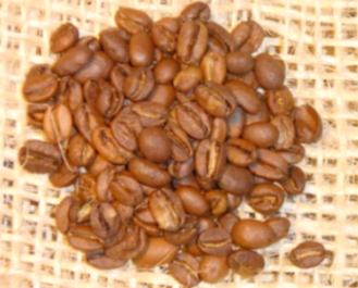 エチオピア産モカ・ハラリのコーヒー豆